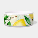 Search for lemon pet bowls Pattern