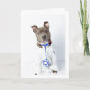 Search for dog get well cards Pitbull