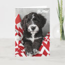 Search for labradoodle cards Red