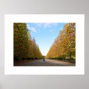 Search for fall scene posters Photography