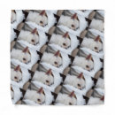 Search for photo dog bandanas Puppy