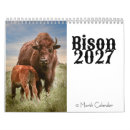 Search for bison calendars Nature