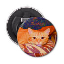 Search for cat bottle openers pets