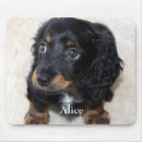 Search for dachshund mousepads Pets