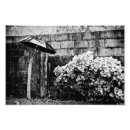 Search for tree of life black white posters Leaves