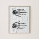 Search for human anatomy puzzles Bones