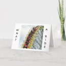 Search for funny wedding anniversary cards Romance