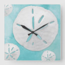 Search for sand dollar clocks Tropical