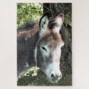 Search for donkey puzzles Pet