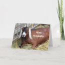Search for goat cards Brown