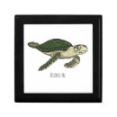 Search for turtle gift boxes Green