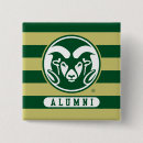 Search for alumni buttons Stripes