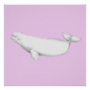 Search for black and white whale art Nature