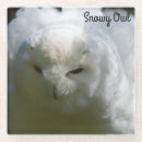 Search for snowy owl gifts Bird lover