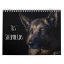 Search for german shepherd calendars Puppy