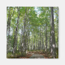 Search for maryland magnets Nature