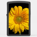 Search for sunflower lighters Zippo
