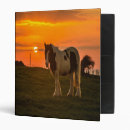 Search for horse photo binders Scenic