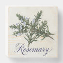 Search for kitchen herb art Rosemary