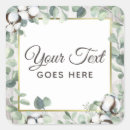 Search for cotton boll Botanical