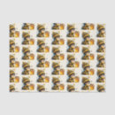 Search for honey bees tissue paper Beekeeping
