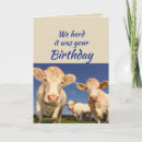 Search for group birthday cards Co worker