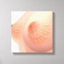 Search for female anatomy canvas prints Biomedical illustrations