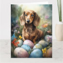 Search for dachshund easter cards Animal