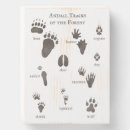Search for animal gifts For kids