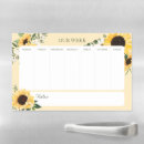 Search for sunflower magnets Watercolor