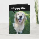 Search for funny squirrel cards Dog