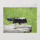 Search for baby postcards Cute