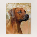 Search for rhodesian ridgeback gifts Pet