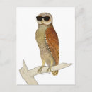 Search for owl postcards Nature