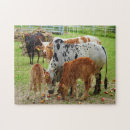 Search for farm puzzles Cattle