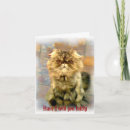 Search for funny cat sayings cards Animal