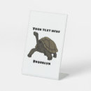 Search for turtle name plates Reptile