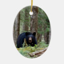 Search for bear ornaments Nature