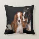 Search for cavalier king charles spaniel pillows Dogs