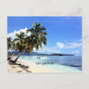 Search for dominican republic postcards Palm trees