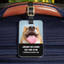 Search for corgi luggage tags Puppy
