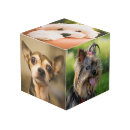 Search for pet photo cubes Pets