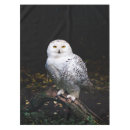 Search for owl tablecloths Bird