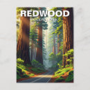 Search for redwood national park postcards Landscape