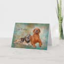 Search for schnauzer birthday cards Pets