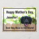 Search for black lab mothers day cards Puppy