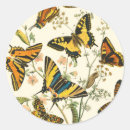 Search for caterpillar stickers Insects