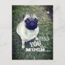 Search for sad miss you puppy postcards Missing