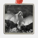 Search for naples florida ornaments White