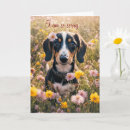 Search for dachshund get well cards Funny